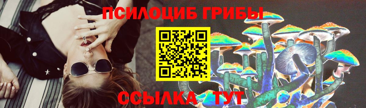 Псилоцибиновые грибы Psilocybe Красногорск